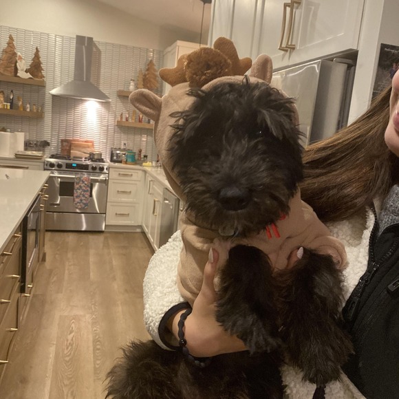 Meet your Posher, Christina - Picture 1 of 1